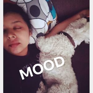 Meet your Posher, Sonia